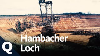 Die Geschichte und Zukunft des Hambacher Lochs und Hambacher Forsts  Quarks [upl. by Enirroc]