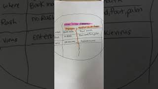 Herpangina vs Hand Foot amp Mouth Disease Quick Differences Explained in Less Than a Minute [upl. by Annehs]