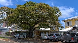 Appartement idéal logement pour séjour professionnel Fort de France Martinique [upl. by Anamuj]