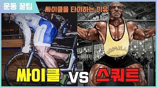 싸이클 vs 스쿼트  당신이 싸이클을 타야하는 이유 [upl. by Tolkan498]