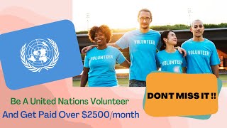 How To Be a UN Volunteer  And Get Paid Over 2500month [upl. by Nwahsad]