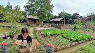 Full Video 100 days of taking over Trais garden renovating the garden raising livestock [upl. by Airal987]