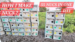 HOW I MAKE 55 NUCS IN ONE EVENING Proces of making one frame nucs beenuc bees beekeeper [upl. by Ruzich]