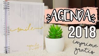 DIY AGENDA 2018 PARA IMPRIMIR gratis [upl. by Heydon]