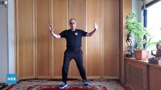 Tai Chi for Arthritis Movements for Beginners [upl. by Aicilanna]