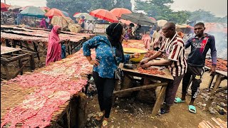 THE MAKING OF AUTHENTIC KILISHI IN NORTHERN NIGERIA🇳🇬🇳🇬kilishibeefjerky [upl. by Holtorf]