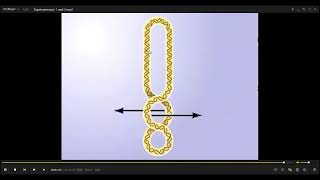 L95 DNA replication [upl. by Aisatal881]