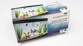 Imagitarium 3Way Isolation amp Nursery Tank Review [upl. by Rheinlander]