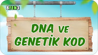 DNA ve Genetik Kod 🧬 tonguçCUP 1Sezon  8FEN3 2024LGS [upl. by Veradi]