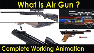 What is Air Gun  Working Animation of Air Gun  Complete Working Mechanism  Purushotam Academy [upl. by Oskar251]