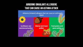 Airborne inhalant allergens that can cause an asthma attack allergens asthma allergy pollen [upl. by Adnoyek770]