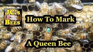 How To Mark A Queen Bee [upl. by Nugent]