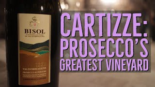 The Greatest Prosecco Vineyard Cartizze Bisol Prosecco Jin Valdobbiadene Italy [upl. by Larner390]