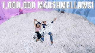 1000000 MARSHMALLOWS IN POOL REAL LIFE CANDYLAND [upl. by Aridni564]