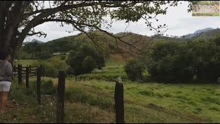 XAROPE DE JENIPAPO COM AS quotSERROTESquot Vida na Roça  Coisas da Roça  Natureza [upl. by Pyne]