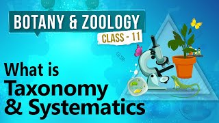 What is Taxonomy and Systematics  Diversity in Organisms  Biology Class 11 [upl. by Tezil]