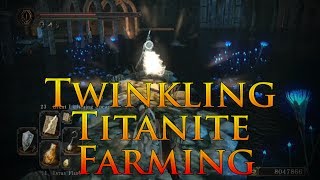 Dark Souls 2 Twinkling Titanite Farming  Best place to farm Twinkling Titanite [upl. by Llednol402]