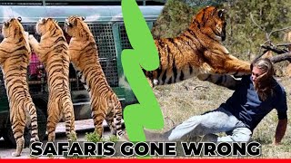 10 Times Safaris Have Gone Wrong And Caught On Camera [upl. by Enytsirk791]