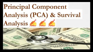 PCA ampsurvival analysisprincipalcomponentpcasurvivalpythonprogrammingfinanceregressionanalysis [upl. by Aziaf894]