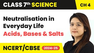 Neutralisation and Neutralisation in Everyday Life  Acids Bases and Salts  Class 7 Science Ch 4 [upl. by Abdu2]