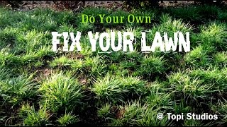 How to fix your lawn grass Dead Grass [upl. by Janna]