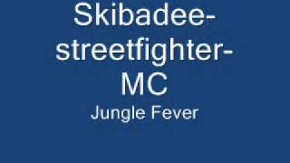 SkibadeestreetfighterMC [upl. by Lavud166]