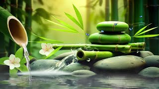 Relaxing Sleep Music  Insomnia Stress Relief Relax Sleep Spa amp Meditation Music Heart Healing [upl. by Jonny403]