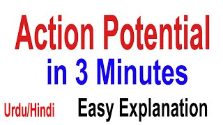 Action Potential in 3 Minutes  What is Action Potential  Short Explanation  Urdu\Hindi [upl. by Ehctav]