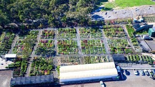 Plantmark Wantirna  Wholesale Plant Nursery Tour [upl. by Nnaaihtnyc]