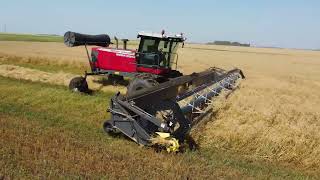 Swathing Oats in Manitoba 2022 [upl. by Atteuqnas487]