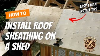 How to Build a Shed  Sheathing The Roof  Video 10 of 15 [upl. by Keegan255]