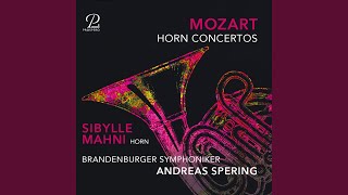 Horn Concerto No 3 in EFlat Major K 447 I Allegro [upl. by Leund811]