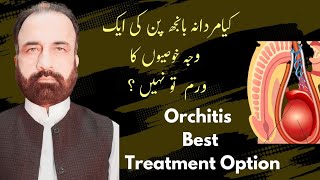 Orchitis explained in Urdu  Epididymoorchitis miasmatic treatment in HomeopathyMale Infertility [upl. by Ayekal838]