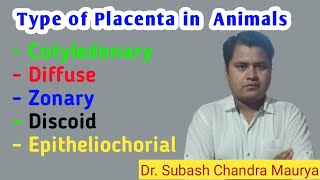 Type of Placenta in different animals Veterinary GynecologyCrazyvetclassescompetitiveexamLDO [upl. by Scales483]