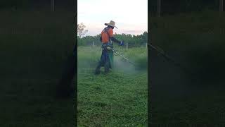 VERY THICK GRASS CUTTING lawncare weedeater brushcutter grasscutter grass cuttinggrass [upl. by Fadden]