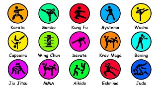 Every Martial Art Type Explained in 12 Minutes [upl. by Carmelia989]