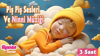 Piş Piş Sesleri Ve Ninni Müziği  Shhh Sound and Baby Sleep Music Lullaby for Babies To Go To Sleep [upl. by Fu]