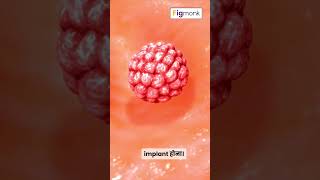 How do Organisms Reproduce Human Reproduction Gametogenesis amp Oogenesis [upl. by Lauree]