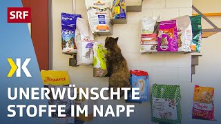 Katzenfutter im Test Gesundheitsgefährdende Stoffe im Katzennapf  2018  Kassensturz  SRF [upl. by Dolores13]