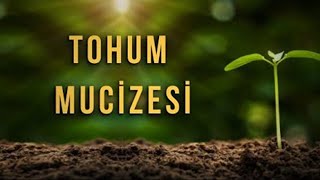 TOHUM MUCİZESİ ᴴᴰ [upl. by Solorac]