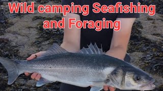 Wild Camping Seafishing And Foraging North Welsh Manai Strait Anglessy [upl. by Akoyin]