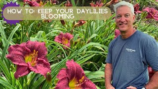 How to Keep Flowers Blooming  Oakes Daylilies [upl. by Georgie]