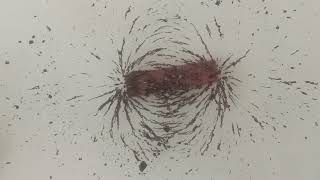 Visualizing Magnetic field lines around bar amp U Shaped magnets  Physics demo  Grade 912 English [upl. by Enyt]