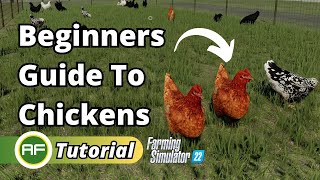 Beginners Guide To Chickens Everything You Need To Know  Farming Simulator 22 [upl. by Cuthbertson303]