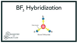 Hybridization of BF3 Boron trifluoride [upl. by Aivekahs922]