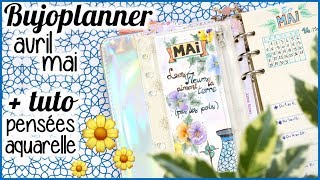 🌼 BULLET JOURNAL 3 avril mai et tuto pensée aquarelle [upl. by Nerrag]