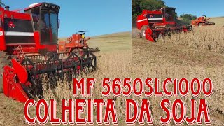 Colheita da Soja MF 5650SLC 1000 [upl. by Edras]