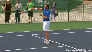 Mardy Fish hitting in High Definition [upl. by Ayhtnic]