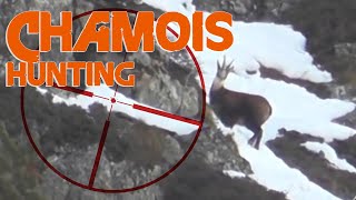 Hunting Alpine Chamois in France  2014 [upl. by Ahsuas]