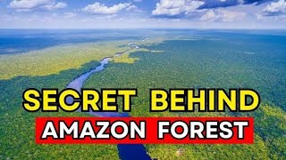 what are the Secrets of Amazon Rainforest  documentary filmshorts [upl. by Det411]